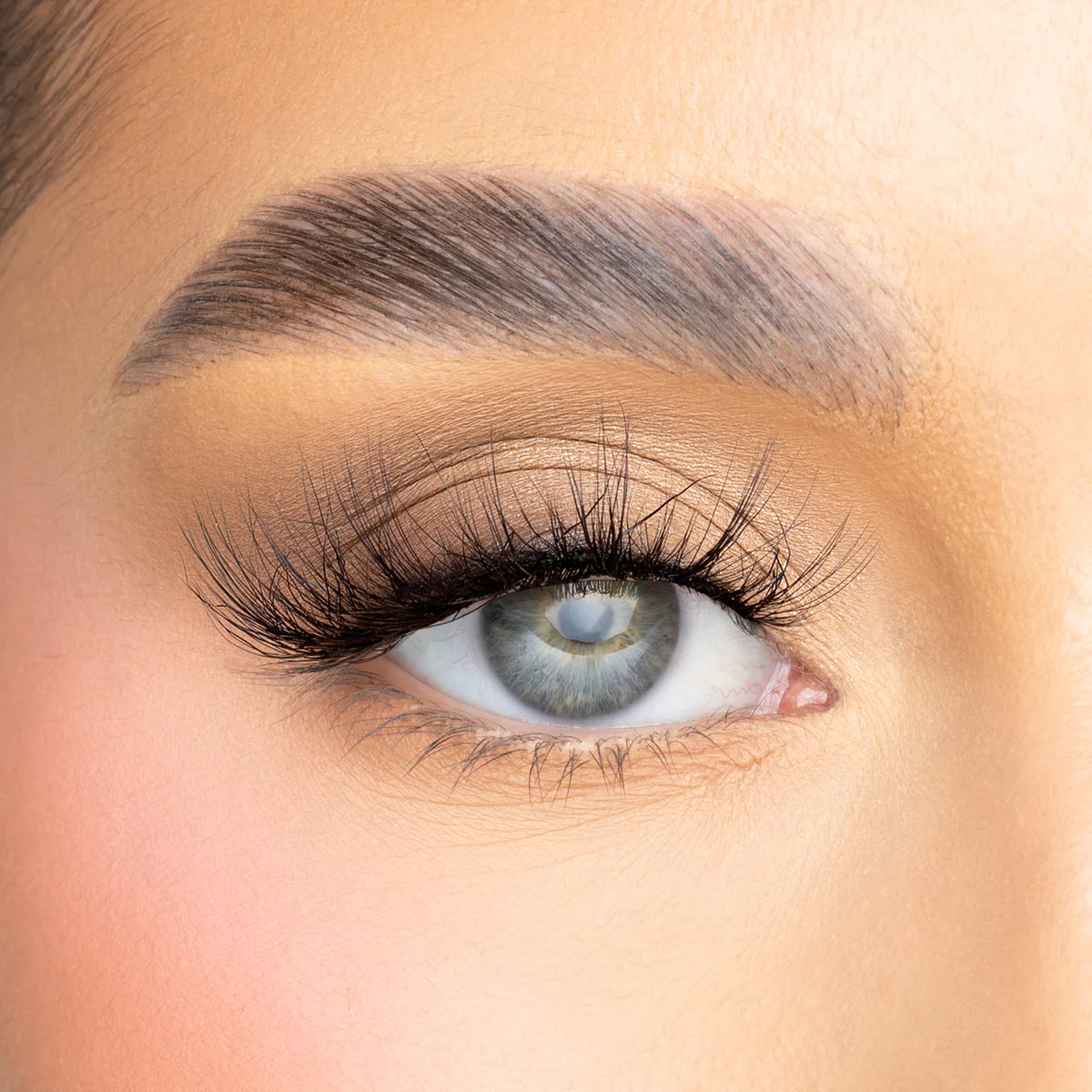 Beauty lashes deals