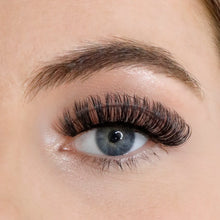 Load image into Gallery viewer, Lola’s Lashes - L.W.I She’s Fire Russian Lashes