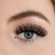 Load image into Gallery viewer, Lola’s Lashes - L.W.I She’s Fire Russian Lashes